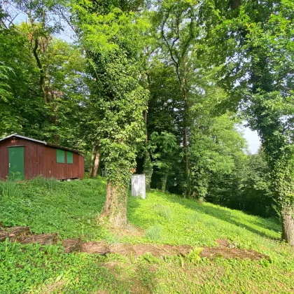 Idyllischer Baugrund am Waldrand mit romantischem Panoramablick über die Wienerwaldgemeinde Eichgraben - Bild 2