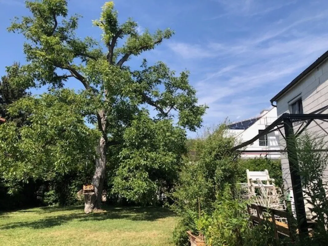 !!! LIESING/Alterlaa - 230m² Wohnfläche auf 840m² Grund mit Doppelgarage!!! - Bild 1