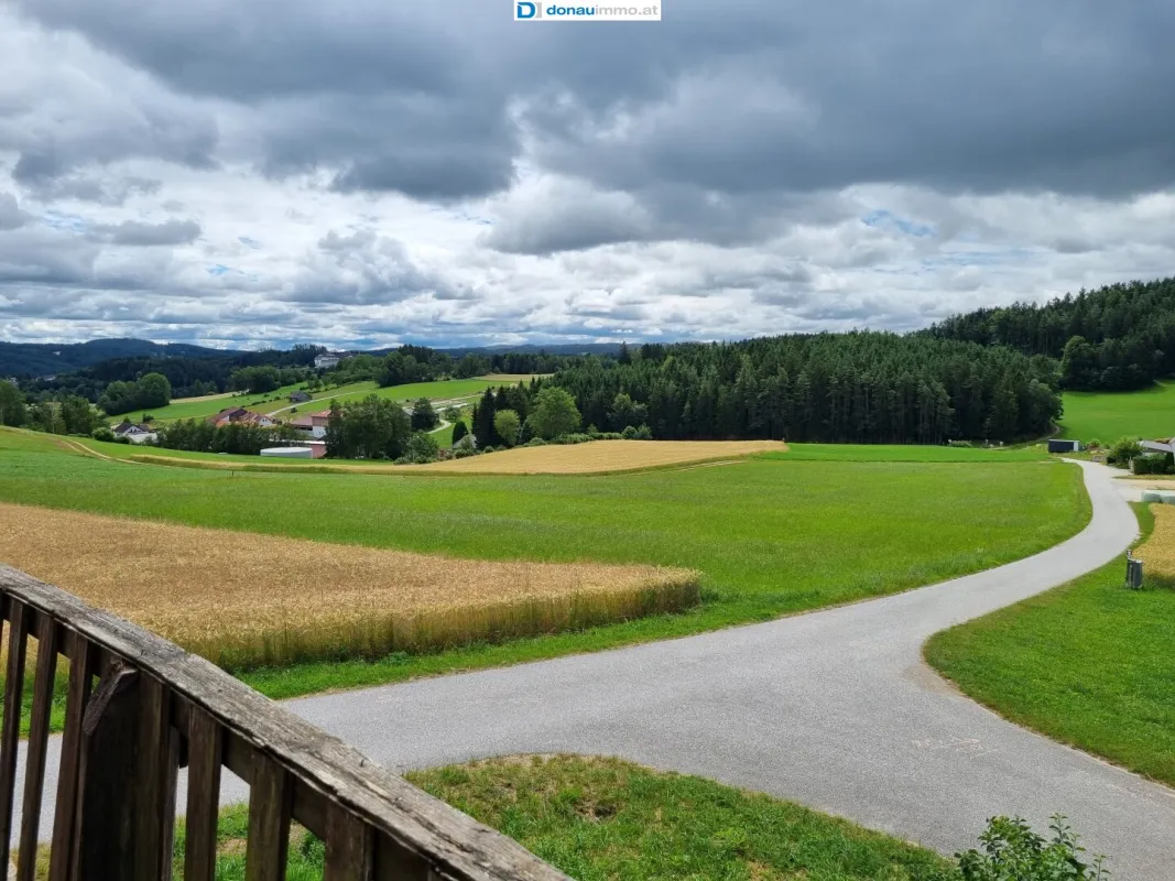 Herrliche Lage - Rohdiamant wartet auf Liebhaber - Bild 1