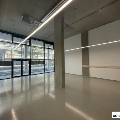 Attraktive EG-Gewerbeflächen in der Seestadt - Bild 3