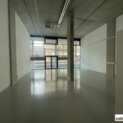 Attraktive EG-Gewerbeflächen in der Seestadt - Bild 2