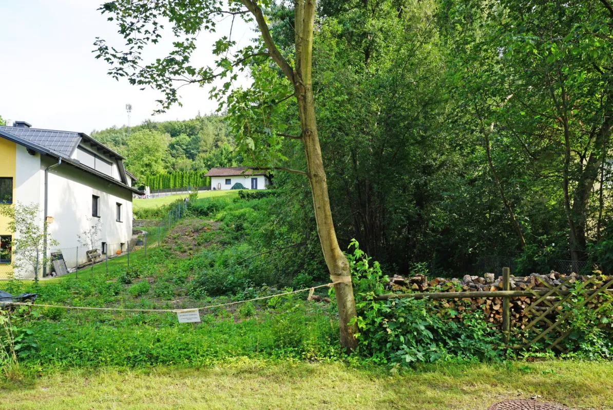 Grundstück in Grünlage im Pressbaumer Zentrum - Bild 1