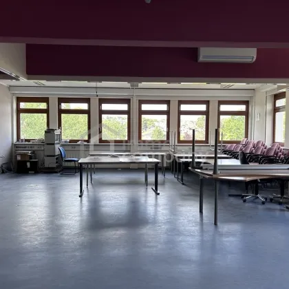 Flexible Bürofläche in Elixhausen - modern, gepflegt und ideal für Coworking - Jetzt mieten für 1.310,00 EUR! - Bild 3