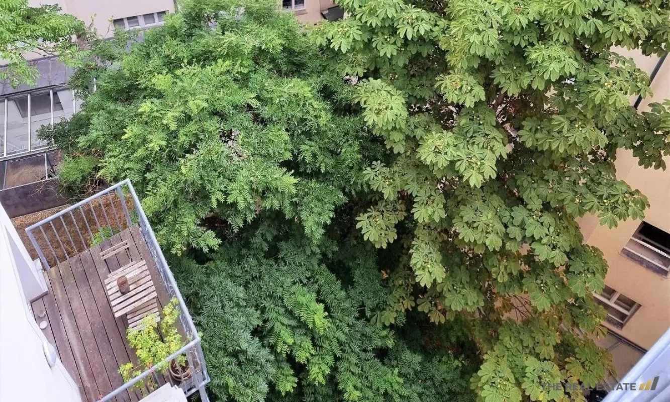 3 Zimmer Apartment im 1. Bezirk - Bild 1