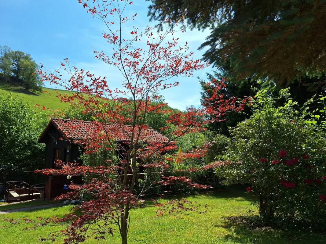 Naturparadies - Erholung pur in Prigglitz - Bild 1