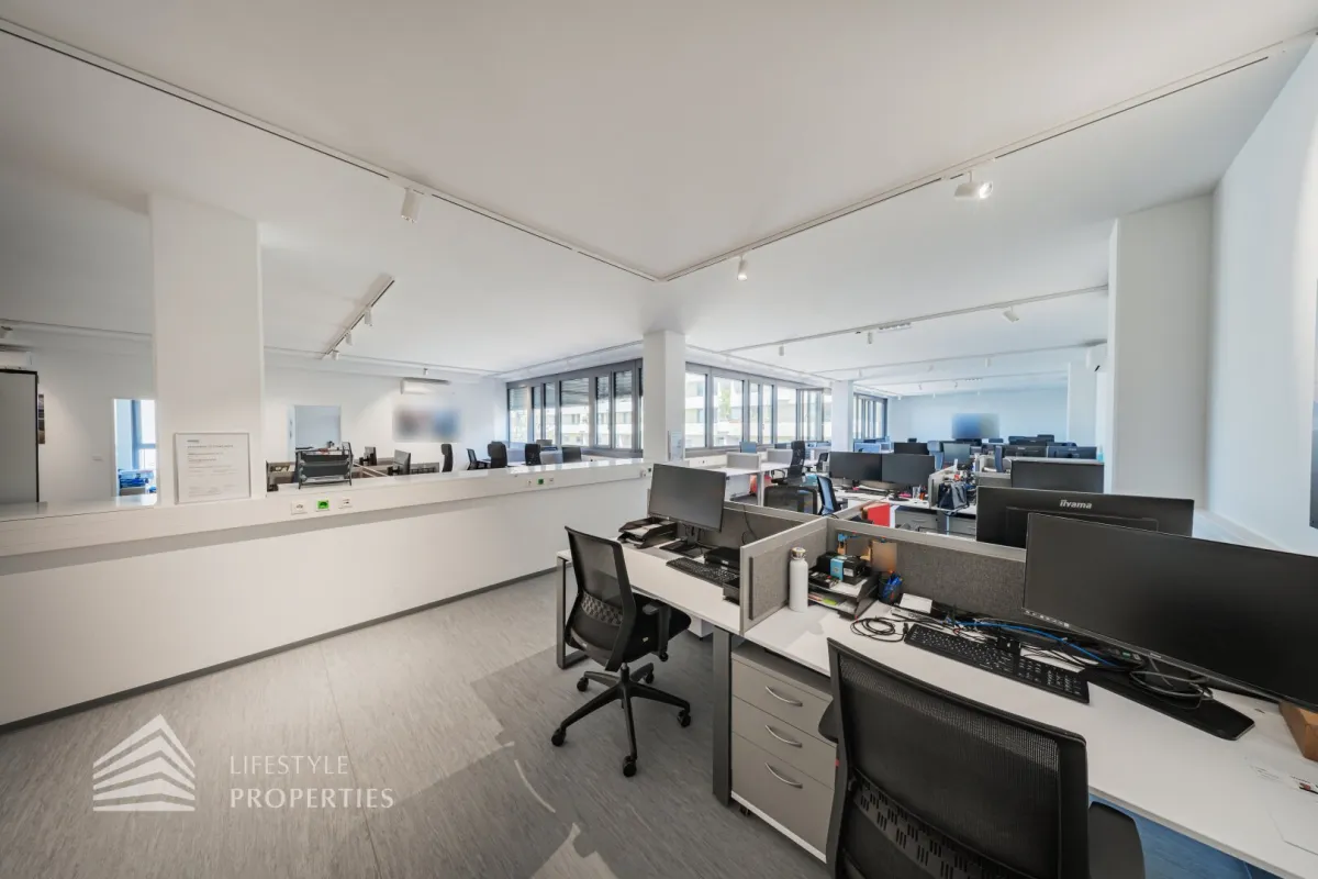 Attraktives 10-Zimmer Büro/Praxis Nähe Enkplatz - Bild 1