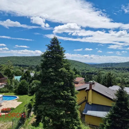 Einfamilienhaus-Niedrigenergiehaus mit Dachterrassenblick auf den Wienerwald, in Fertigstellung - Bild 3