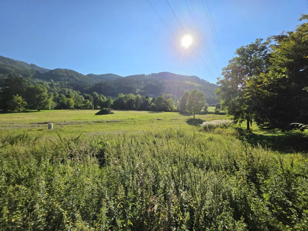 Sonniges Wohnerlebnis mit schöner Aussicht! - Bild 1