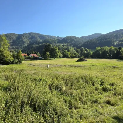 Sonniges Wohnerlebnis mit schöner Aussicht! - Bild 2