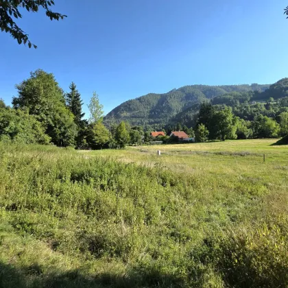 Sonniges Wohnerlebnis mit schöner Aussicht! - Bild 3