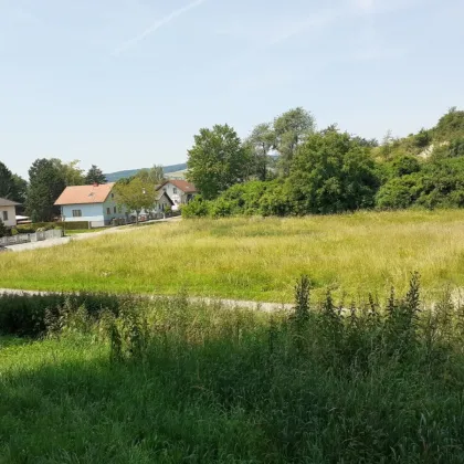Bungalow mit Stil –  bis 500 m² Grundanteil bei Korneuburg - Bild 2