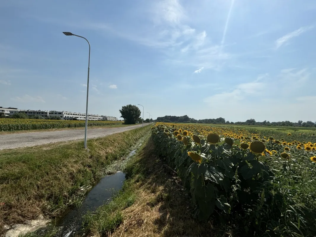 Grünland in zentraler Lage in Neusiedl am See - Bild 1
