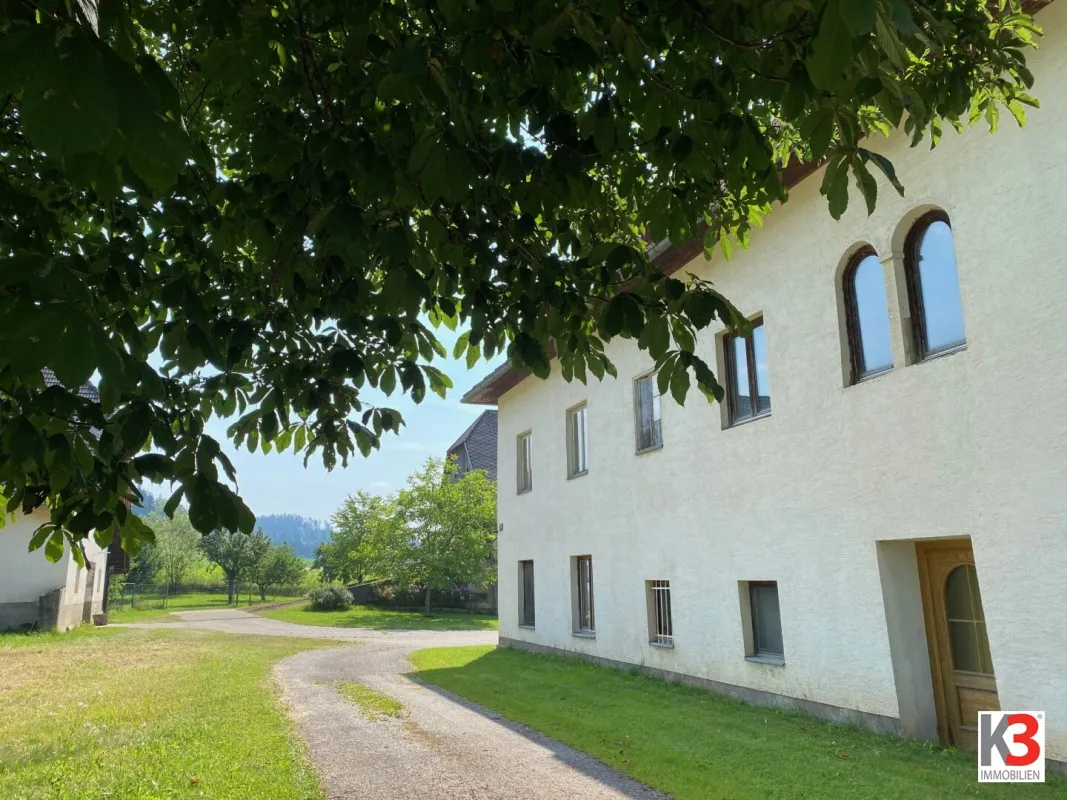 K3 -  NEU - GROSSE LANDWIRTSCHAFT MIT EHEMALIGER HOFSTELLE UND WIRTSCHAFTSGEBÄUDEN - Bild 1