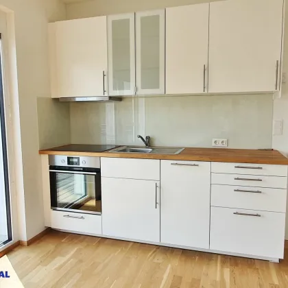 vermietete 2 Zimmer-  Balkon  - Parkplatz - Bild 3