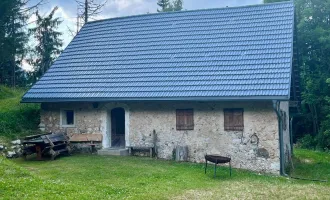 Interessante Berghütte mit Grünblick in Kärnten