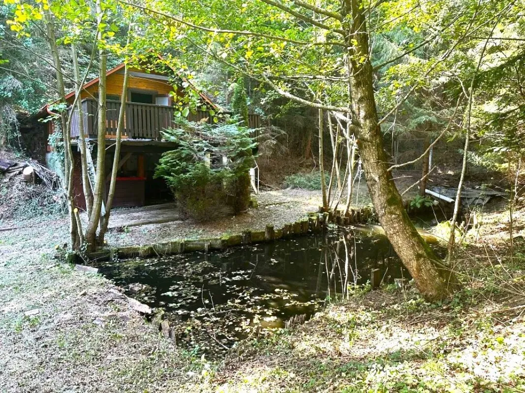 Idyllisches Waldgrundstück mit zwei Fischteichen, Waldhütten, eigener Hangquelle in der grünen  Südsteiermark am Kranachberg in Gamlitz - Bild 1