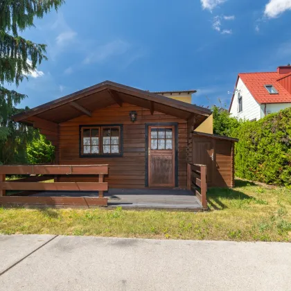 Traumhaftes Einfamilienhaus in Schwechat - sonniger, großer Garten - top Lage! - Bild 3