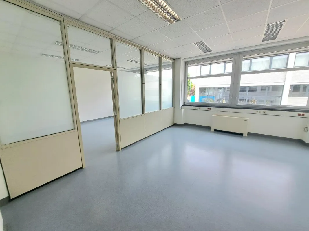 Triesterstraße: Flexible Kleinbüros+ Chefbereich - Bild 1
