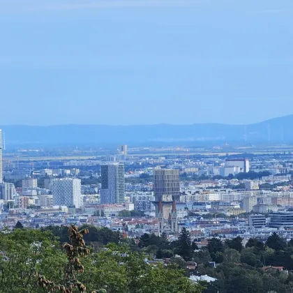 Doppelhaus oder Villa - DER BLICK! - Bild 2
