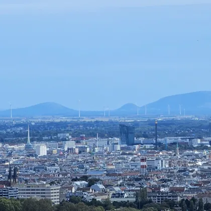 Doppelhaus oder Villa - DER BLICK! - Bild 3