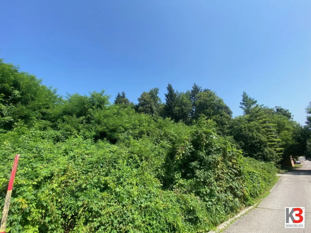 K3 - NEU - SONNIG GELEGENE HANGBAUGRÜNDSTÜCKE - NÄHE ZENTRUM UND STIFT VIKTRING - Bild 1
