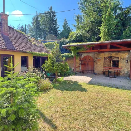 Top Investment - Einfamilienhaus mit Garten um nur € 590.000,- - Bild 2