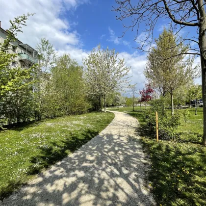 Nachhaltiges Wohnen am Mörikeweg dank effizientem Energiekonzept mit Deckentemperierung - Bild 2