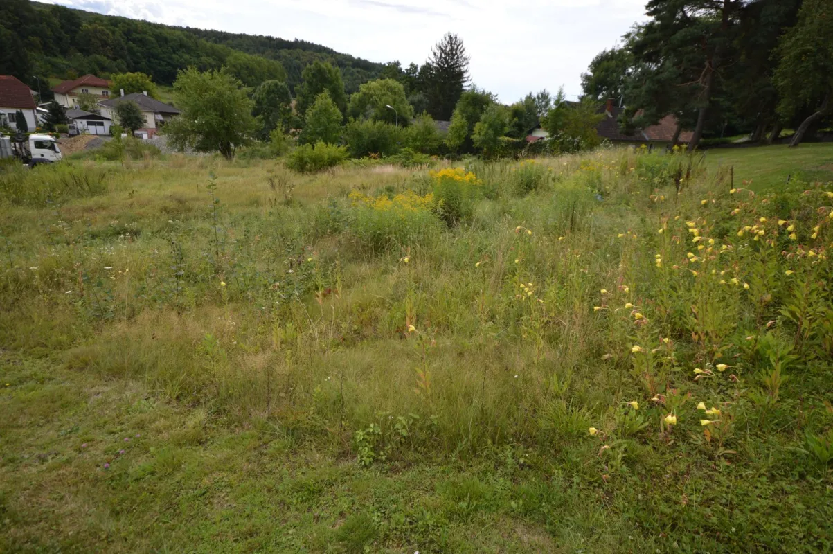 Baugrundstück in Oberdorf - Ihr eigenes Zuhause im idyllischen Burgenland! - Bild 1