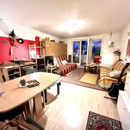 Nahe Casino Baden! vermietete (bis 31.10.26) Dachgeschoßwohnung in Top-Lage: 1 Zimmer, Loggia & Grünblick zum Kurpark Baden, Niederösterreich für nur 149.999,00 €! - Bild 2