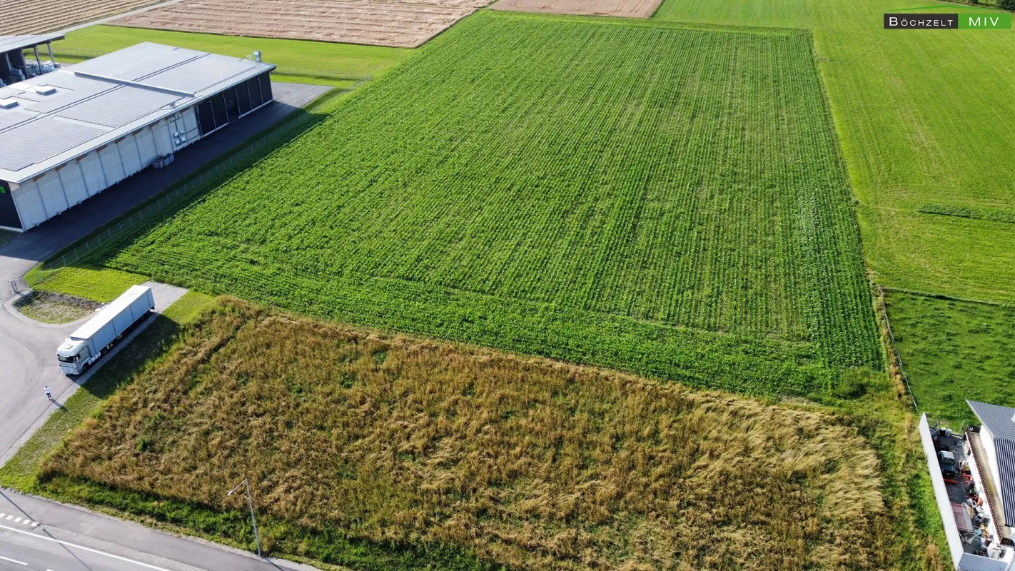 BAURECHT: Gewerbegrundstück mit knapp 32.000 m² in optimaler Verkehrslage +++ Spielberg +++ - Bild 1