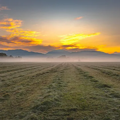 MORGENTAU LEOPOLDSKRON | PANORAMAGRUNDSTÜCK - Bild 2