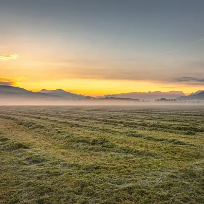 MORGENTAU LEOPOLDSKRON | PANORAMAGRUNDSTÜCK - Bild 3