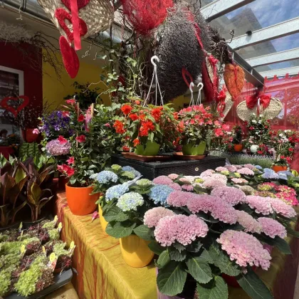 BETRIEBÜBERNAHME - PÄCHTER GESUCHT! - Bild 3