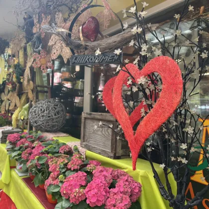 BETRIEBÜBERNAHME - PÄCHTER GESUCHT! - Bild 2