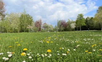 Quartier am Park: Barrierefreie Wohnung im obersten Stock mit Ausblick