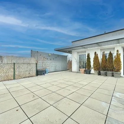 Licht. Luft. Lebensqualität ~118 m² Terrasse mit Fernblick I Tiefgarage I Klimaanlage I Schnellbahn-Nähe - Bild 2