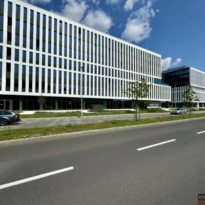 DAS HAFENPORTAL I BÜROFLÄCHE IM 5.OG - Bild 3