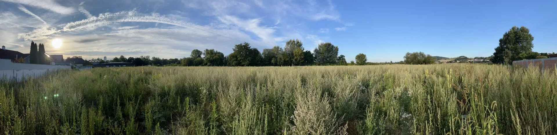 Traumgrundstück für Ihr Eigenheim in idyllischer Lage - 4 Grundstücke (500-540m²) in Luftenberg an der Donau, Oberösterreich - Bild 1