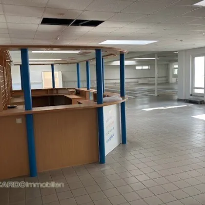 Ca. 1.417m² Vielseitig nutzbare Mietfläche: Ehemaliges Fitnessstudio - Bild 3