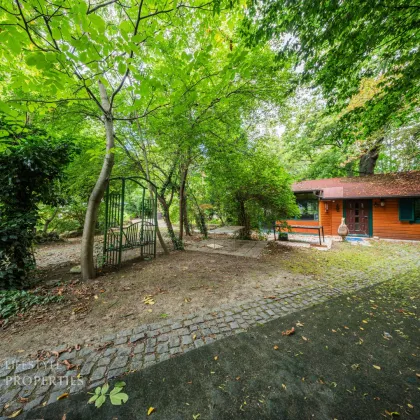 Einzigartiges Baugrundstück mit Zinshaus Projekt Nähe Heuberg - Bild 3