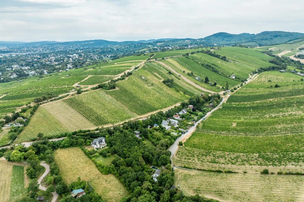 Hochwertiges Baugrundstück am Nussberg: Genehmigte Doppelhaushälfte - Bild 1