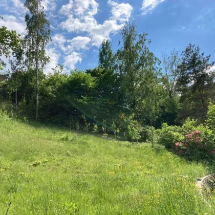 Graz-Rarität: Traumhaftes Grundstück nahe Stoffbauer mit Baubewilligung! Naturnah & stadtnah: Sonniger Baugrund mit Fernsicht – Perfekt für Ihr Familienhaus! - Bild 3