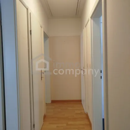 Traumhaftes Bungalow am Neusiedler See - Bild 3