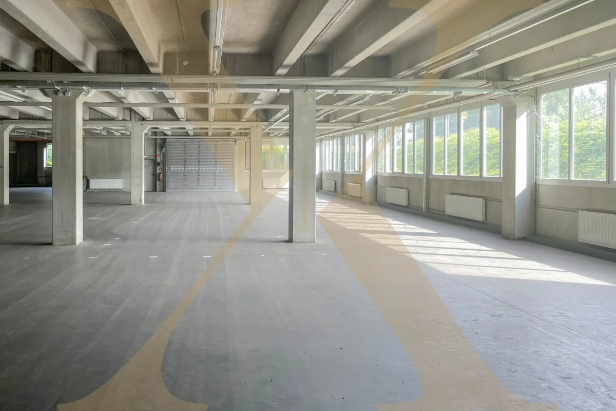 Großzügiges Lager mit Anpassrampen in Linz zu vermieten! Teilbar! - Bild 1