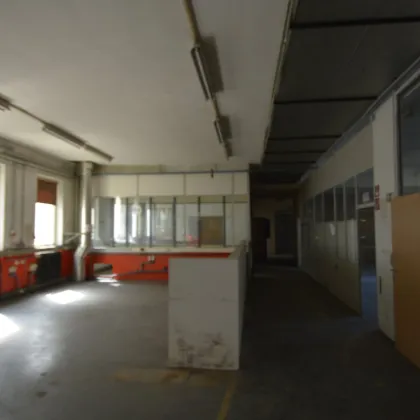 Multizweckhalle zu mieten - Bild 3