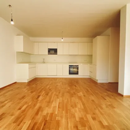 Geräumige 3-Zimmer Gartenwohnung in ruhiger Lage in Krems - Bild 3