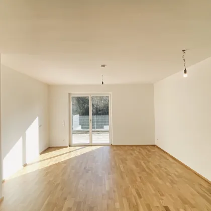 Geräumige 3-Zimmer Gartenwohnung in ruhiger Lage in Krems - Bild 2