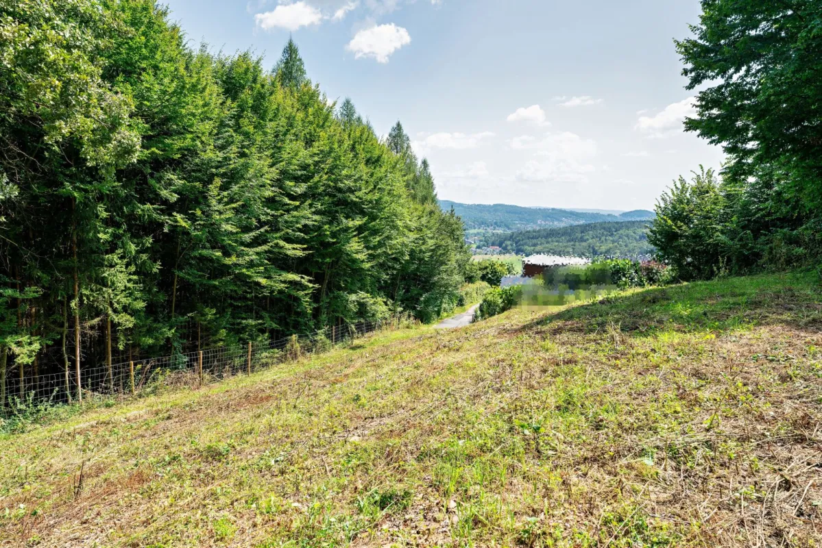 Erhöht gelegenes 911 m² Baugrundstück samt 5.000 m² Eigenwald in Stattegg - Bild 1