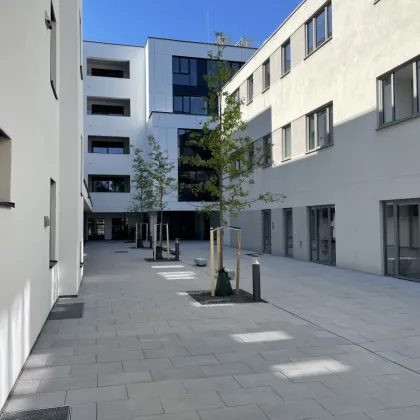 hochwertig ausgestattete 2-Zimmer Mietwohnungen mit großzügigem Balkon - Bild 3