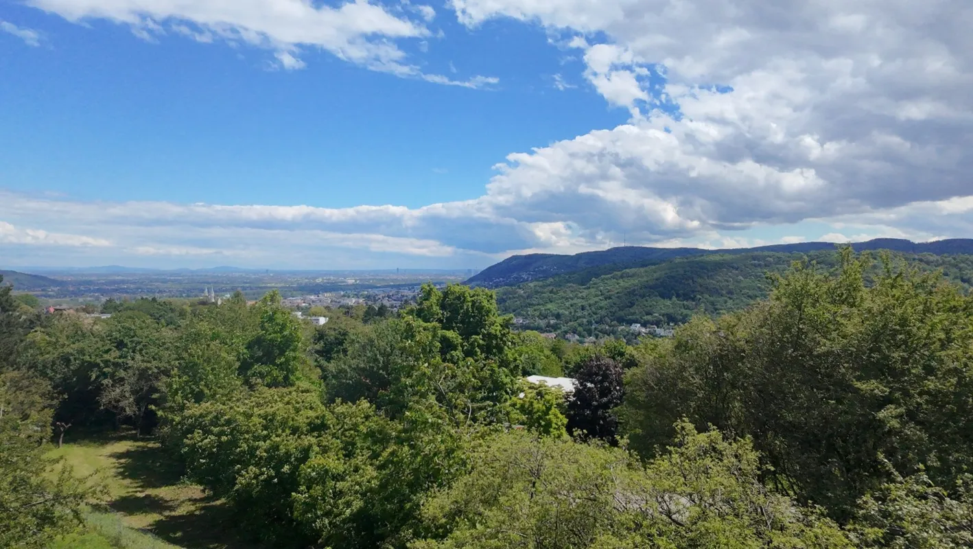 Über den Wolken - traumhafter Baugrund mit umfangreicher Vorstudie zur Bebauung am Ölberg mit unverbaubarer Aussicht in absoluter Ruhelage - Bild 1